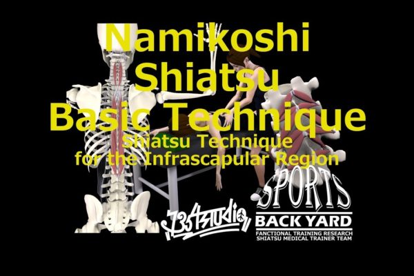 Namikoshi Shiatsu Basic Technique